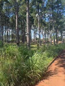 Loteo ITÁ PORA – Posadas
